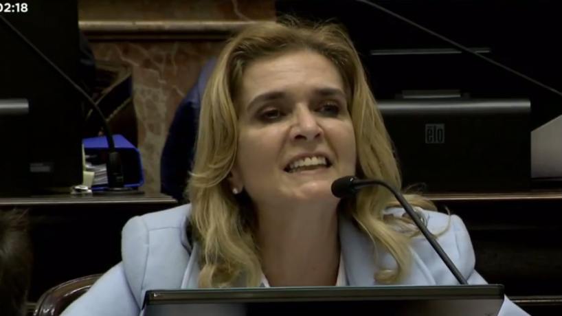 Elías de Pérez votó contra el repudio al golpe en Bolivia - el tucumano