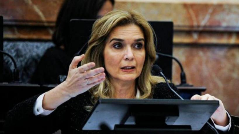 Elías de Pérez aclaró su voto negativo en repudio al golpe de Estado en Bolivia - el tucumano