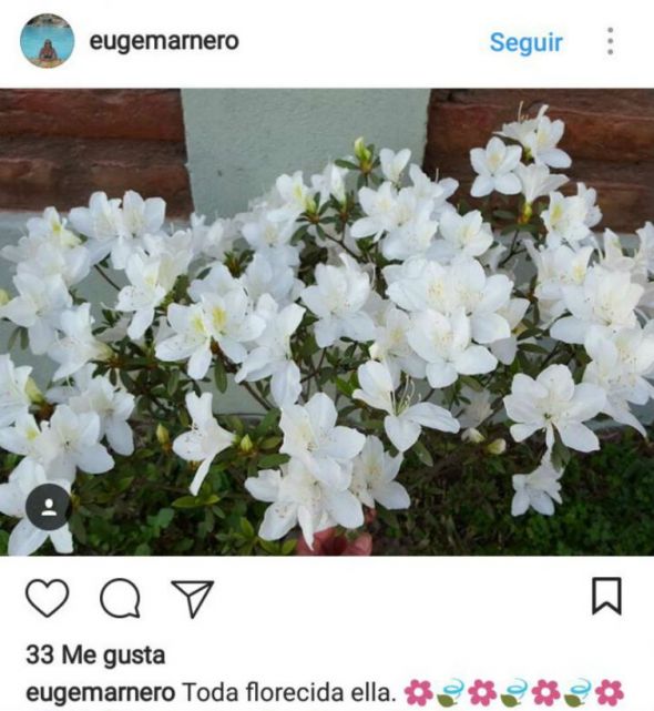 http://www.eltucumano.com/fotos/notas/2017/08/15/tmb1_242510_20170815115537.jpg