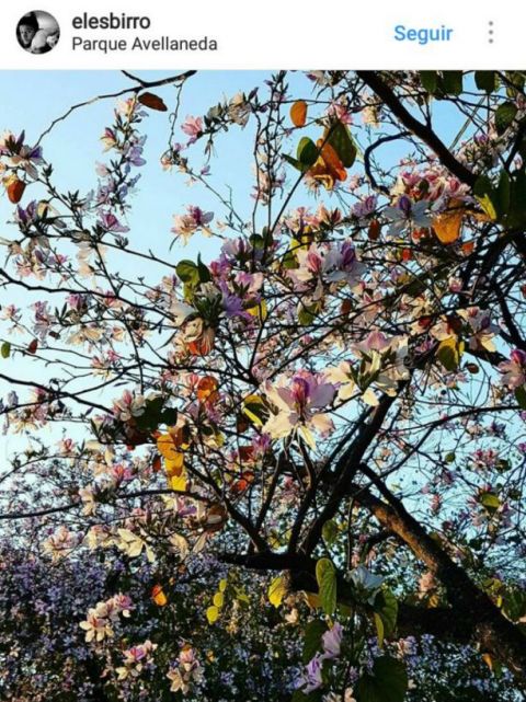 http://www.eltucumano.com/fotos/notas/2017/08/15/tmb1_242510_20170815115612.jpg