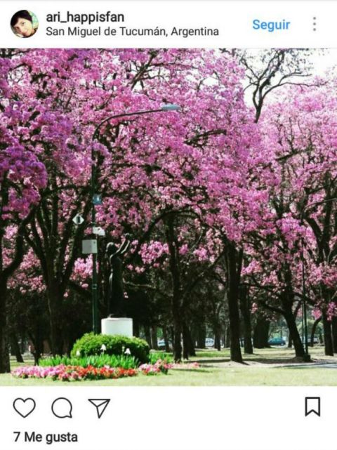 http://www.eltucumano.com/fotos/notas/2017/08/15/tmb1_242510_20170815115618.jpg