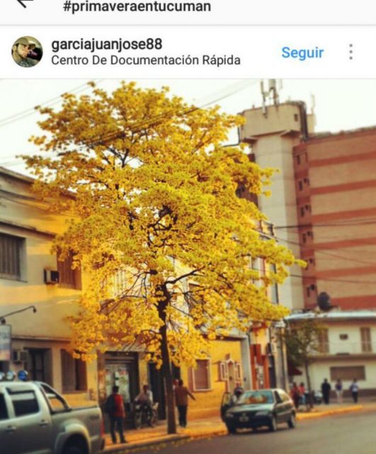 http://www.eltucumano.com/fotos/notas/2017/08/15/tmb1_242510_20170815115630.jpg