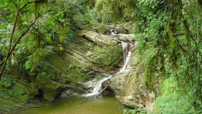 PARQUE SIERRA SAN JAVIER