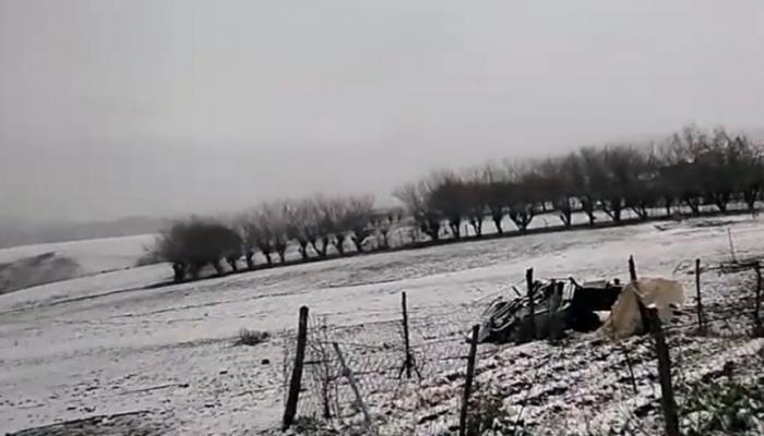 el tucumano | Noticias Tucumán - Diario Tucumán - San Miguel de Tucumán