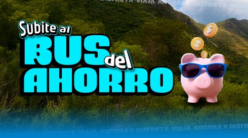 El Bus del Ahorro ya está en marcha: 20% de descuento, cuotas sin interés y conectividad total para viajar más y gastar menos