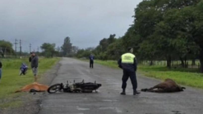 "Contra una mula": el triste final de un motociclista que perdió la ...