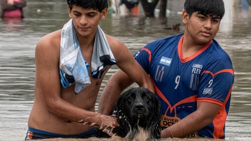 "Nos dicen que hay animalitos abandonados": rescatistas tucumanos salen a ayudar a las mascotas afectadas por las inundaciones